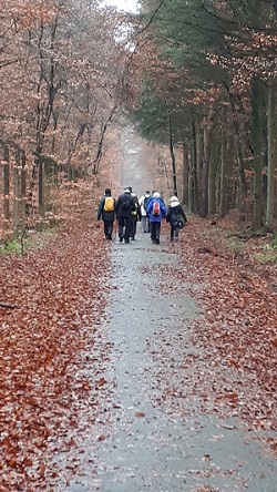 letzte wanderung 2019